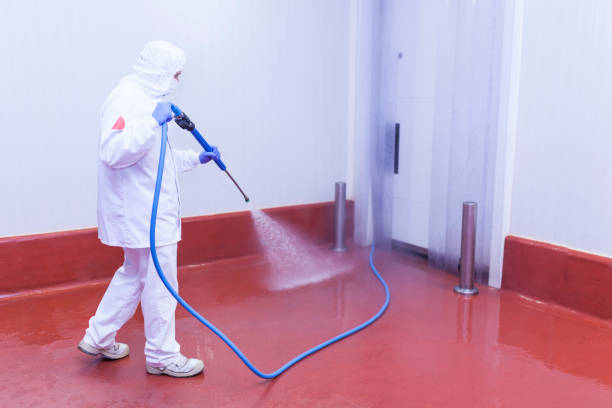 Best Patio and Deck Pressure Washing  in Norton Center, MA